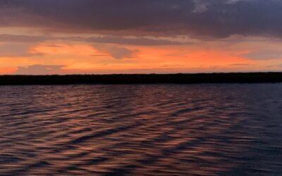 Understanding Flounder Habits: The Key to Successful Gigging