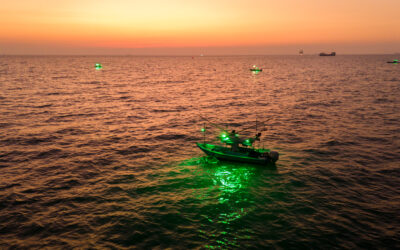 Lighting the Way: Why LED Is the Gold Standard for Bowfishing & Flounder Gigging