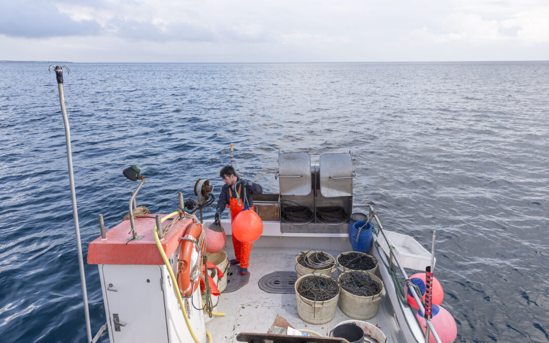 Flounder Gigging Equipment Guide