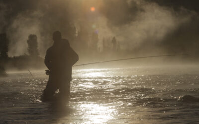 Night Fishing Guide: 8 Tips for Successful Night Fishing